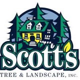 Westford Tree Service - Other in Westford