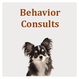 Family Dog Training - Other in Groton