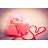 Che Bella Hair Salon and Spa - Other in Groton