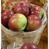Mann Orchards - Other in Methuen