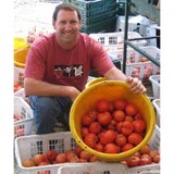 The Brox Farm - Other in Dracut