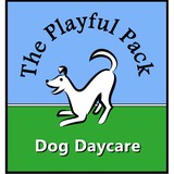 The Playful Pack - Pet Services in Ipswich