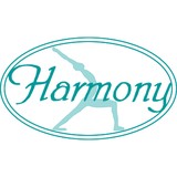 Harmony Network Chiropractic & Yoga - Other in Mashpee