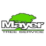 Mayer Tree Service - Tree Services in Essex