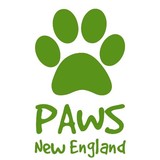 Paws New England- Tipton - Pet Services in Boston