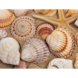 Virginia R. Youngren, Ph.D. - Meditation Centers in Cambridge