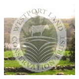 Westport Land Conservation - Other in Westport