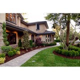 Little Tree Nurseries - Other in Seekonk