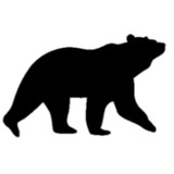 Black Bear Painting CO - Painters & Decorators in Fitchburg