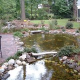 Bond, Jeff Tree & Landscape - Landscape Architects in Bellingham