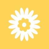 Women's Lunch Place - Restaurants in Boston