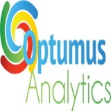Optumus Analytics - Web Design & Development in Boston