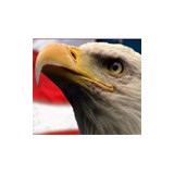 New Bedford Injury Law - Solicitors & Lawyers in New Bedford