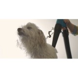 Serenity Dog Spa - Other in Norwell
