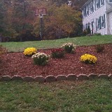 Lola's Landscape - Landscaping in Franklin