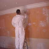 Fitzgerald painting and pressure washing contractors - Painters & Decorators in Woburn