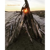 SEE Shore Photography - Other in Newburyport