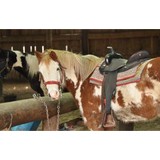 Bobby's Ranch Inc - Other in Westford