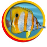 Ken's Fish Inc - Other in Taunton