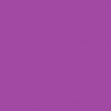 Get in Shape For Women - Personal Trainer in Boston