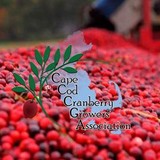 Hall's Cape Cod Cranberries - Other in Harwich