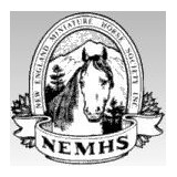 New England Miniature Horse Society - Other in West Brookfield