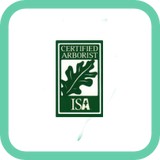 Sepe Tree Inc - Tree Services in Attleboro