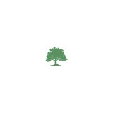 Belmont Landscaping - Landscaping in Needham
