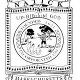 Natick Recreation & Parks Department - Other in Natick