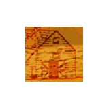 Community Organic Farm - Other in Natick