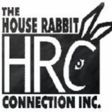House Rabbit Connection - Other in East Longmeadow