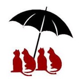 Animal Umbrella - Other in Brookline