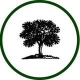 Clipper Trophies - Other in Newbury