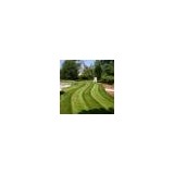Pungitore Landscaping & Bobcat - Other in Hingham