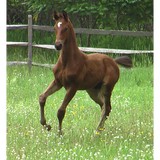 Hof Mendenhall - Other in Groton