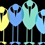 Provincetown International - Other in Provincetown