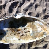 Furies Linen Rental Svc - Other in Wellfleet