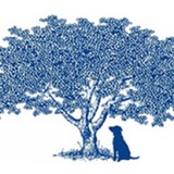 J B Sawmill & Land Clearing - Other in Hopkinton