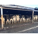 Smith's Country Cheese - Other in Winchendon