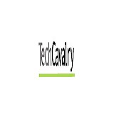 Tech Cavalry Inc - Web Design & Development in Northampton