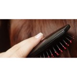 The Hair Circuit - Other in Norwell