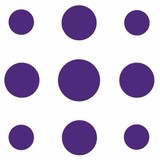 Medacuity Software LLC - Other in Shirley