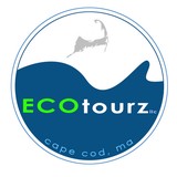 Ecotourz LLC - Other in Sandwich