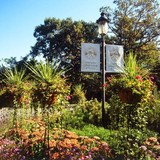 Mit - Other in Dedham