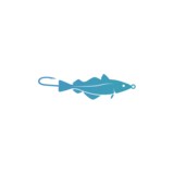 New England Fishery Management Counc - Other in Newburyport