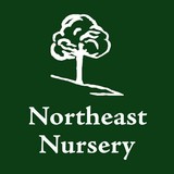 Northeast Nursery - Other in Peabody
