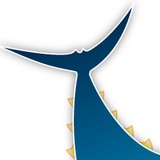 Labrador Fishing Charters - Other in Scituate