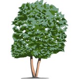 R & R Landscape CO - Landscape Architects in Boston