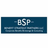 Benefit Strategy Partners LLC - Other in Stoneham