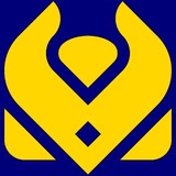 Viking Soccer Camp Inc - Other in Brookline